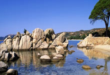 意甲赛场风云变幻，球队实力对比