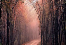 絲韋特斯城挫氣連屢，跑步八步前大