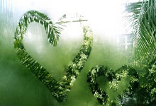 球队内部矛盾激化，备战形势不容乐观