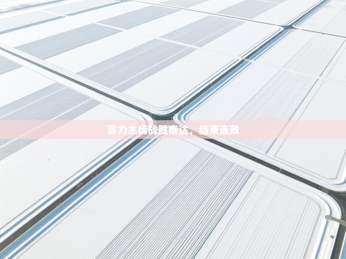 富力主场战胜泰达,结束连败 第1张