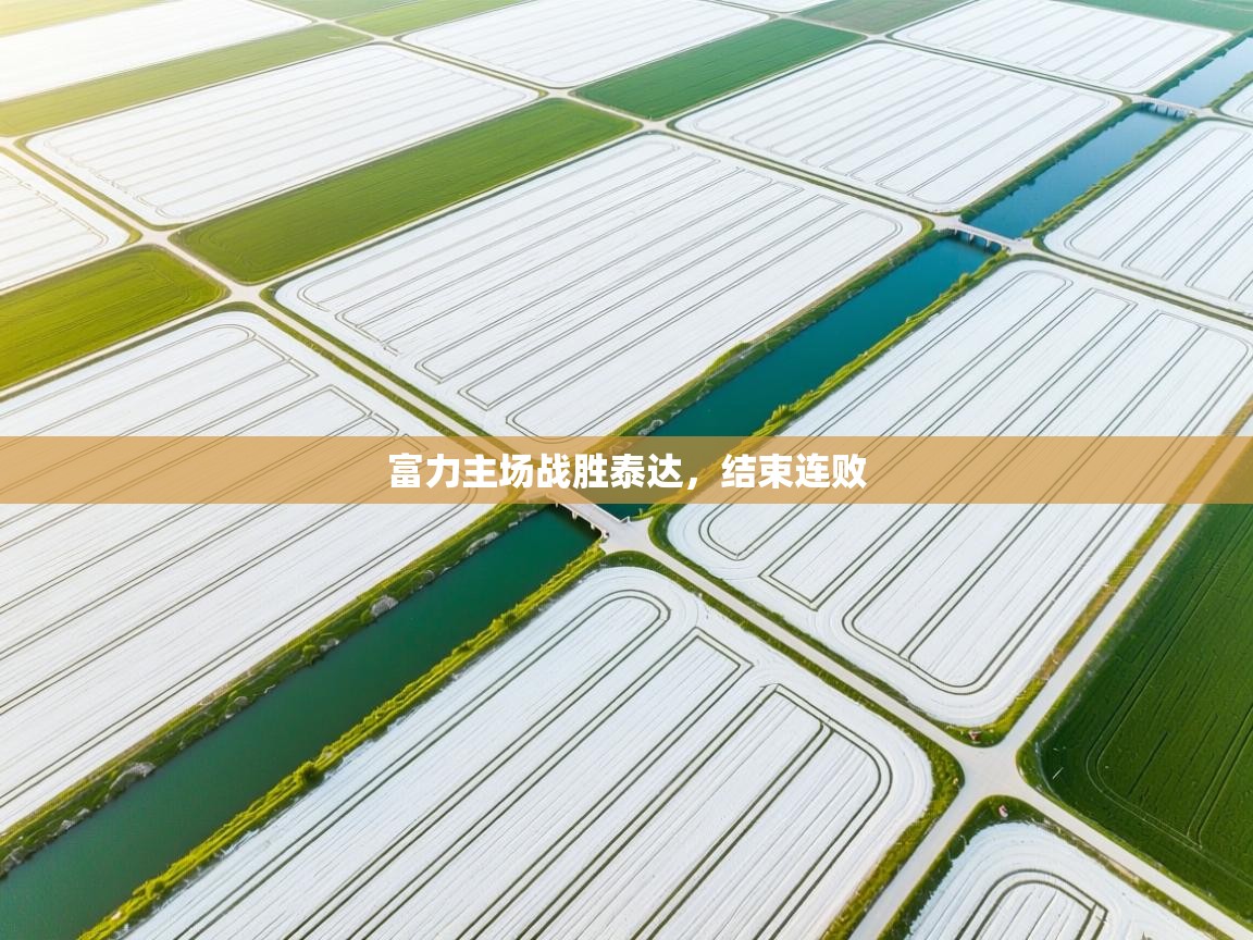 富力主场战胜泰达,结束连败 第2张